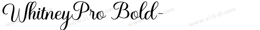 WhitneyPro Bold字体转换